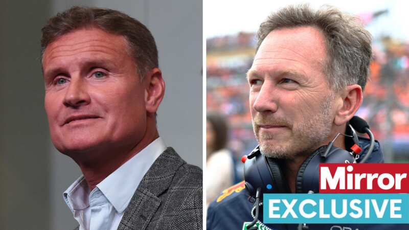 Red Bull team principal Christian Horner is a divisive figure (Image: Getty Images)