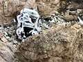 Car plunges 250ft off cliff with two adults and two children surviving the fall