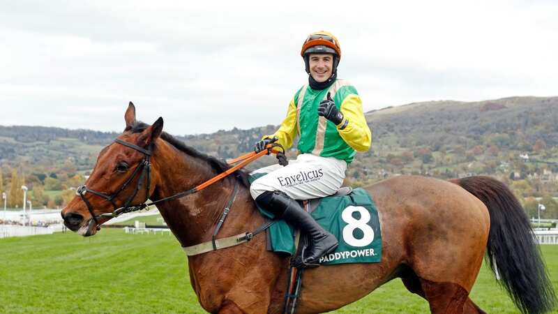 Ryan Mania: Grand National-winning jockey won nine times in a row in completed starts (Image: Steven Cargill/racingfotos.com/REX/Shutterstock)
