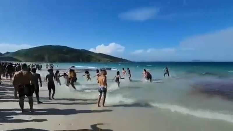 Beachgoers flee in terror after mistaking whales for vicious attacking sharks