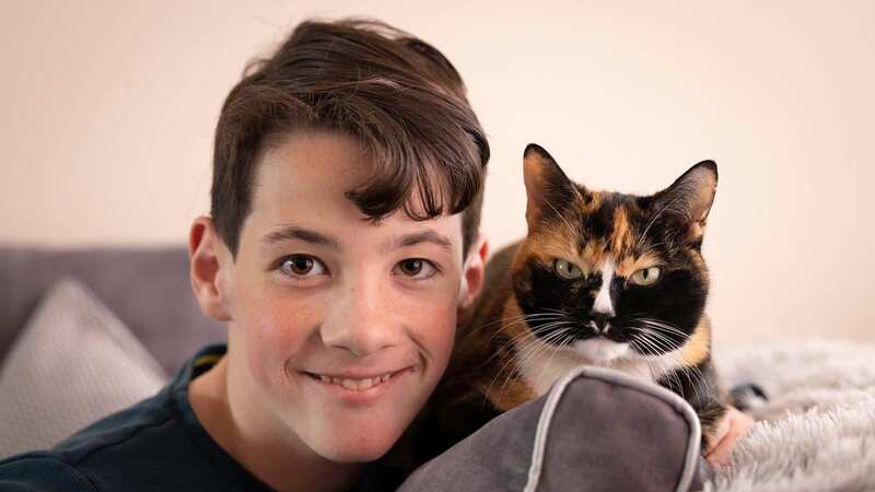Chicken the cat has become Elliot Abery