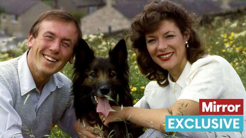 Peter Davidson and Carol Drinkwater starred in All Creatures Great and Small (Image: BBC)