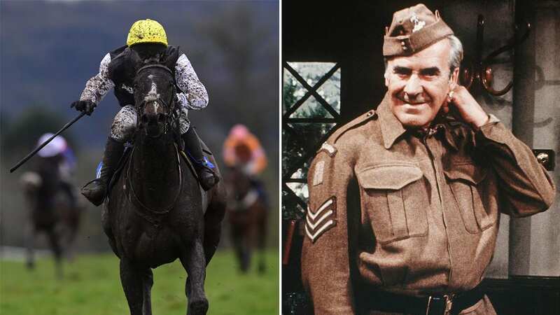 The equine Sergeant Wilson (Image: PHIL MINGO/PPAUK/REX/Shutterstock)