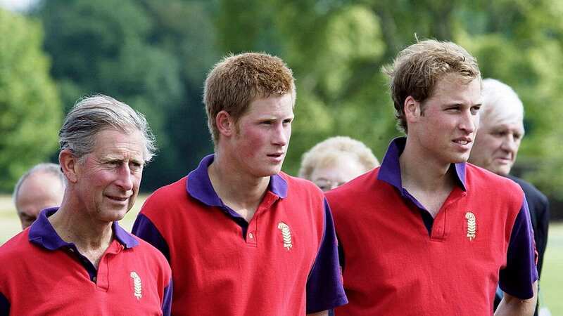 Prince Harry said he has a plan to win back his father