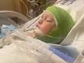 Boy, 11, dragged from bike and has scalp ripped off in attack by three pit bulls