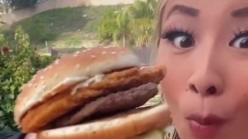 The Land, Air and Sea burger combines all your favourite McDonald