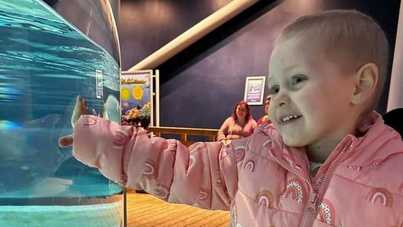 Lily Harley, 3, has been given just months to live after her cancer returned