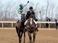 Flightline rated Frankel's equal as he is named world's best racehorse dqxikeidqkikdinv