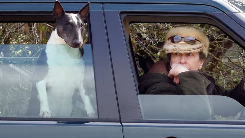 Princess Anne with one of her Bull Terriers at Gatcombe Park in March 2019 (Image: Getty Images)