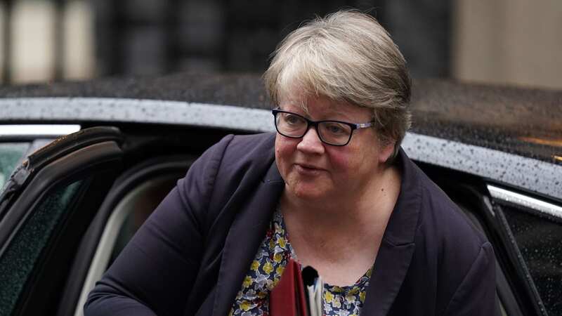Therese Coffey was another Tory gambling with our lives (Image: PA)