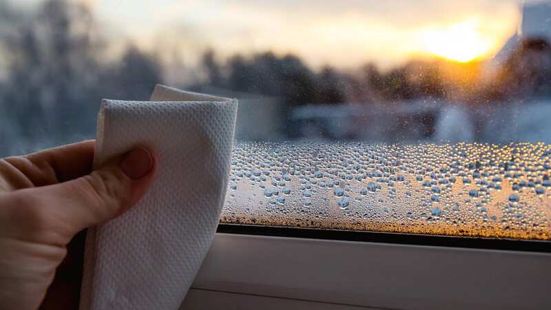 This cheap dehumidifier is helping to banish condensation and mould in people