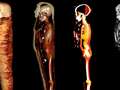 Teenage Egyptian mummy decked in gold finally uncovered after 2,300 years