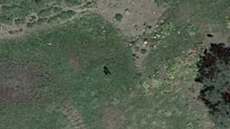 An image of 