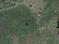 Bigfoot mystery as huge 7.5ft ape-like creature spotted roaming on Google Earth dqxikeidqkikdinv