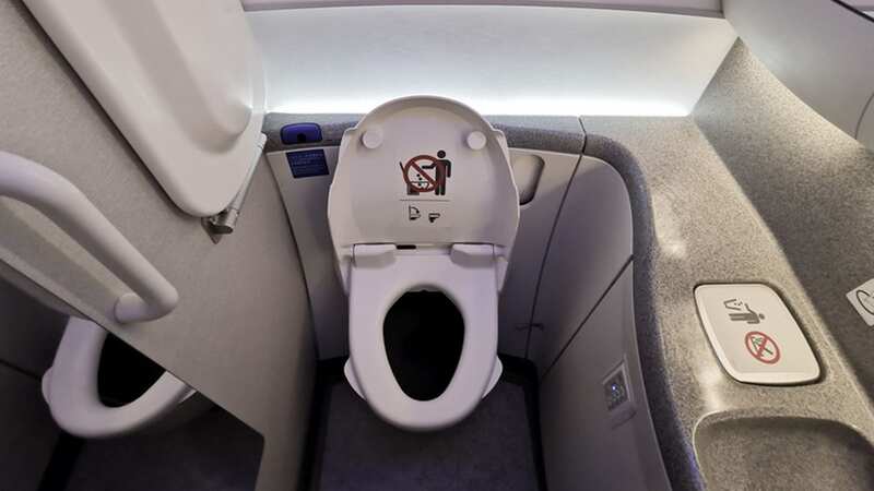 Flight attendants have many warnings about using the toilets on planes (Image: Getty Images/iStockphoto)