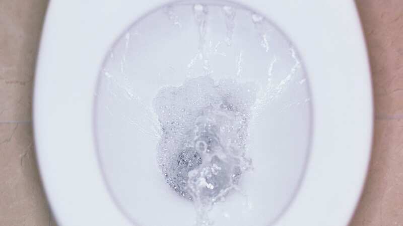 You can unclog your toilet with a 65p kitchen product (Stock Image) (Image: Getty Images)