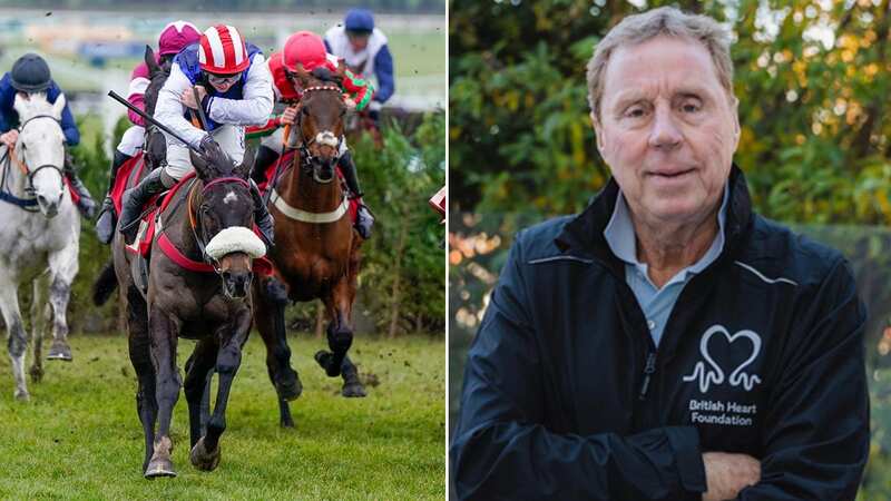 Harry Redknapp misses £18k Cheltenham races win after calendar mix-up
