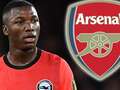 Arsenal put foot in it with Caicedo transfer with summer move in jeopardy dqxikeidqkikdinv