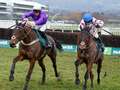 Harry Cobden says winning Cheltenham ride on Il Ridoto did not deserve ban dqxikeidqkikdinv
