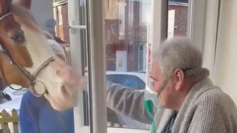 Mr Riley at the window of Terry