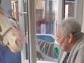 Housebound ex-serviceman enjoys special window visit from physio's horse