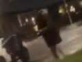 Police hunting owner after dog breaks elderly woman's arm in terrifying attack