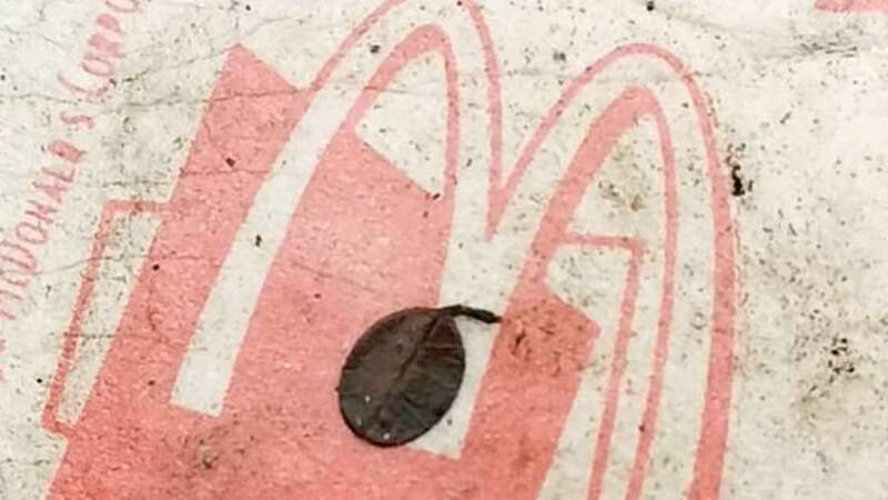 The Big Mac carton is 27 years old (Image: Anti-Litter Evesham / SWNS)
