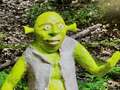 Life-sized Shrek statue goes missing with police launching urgent search