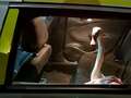 Police recreate Hot Fuzz by 'arresting' swan and taking it away in back of car dqxikeidqkikdinv