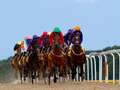 Newsboy’s Daily Double plus tips on every race from Friday’s four meetings