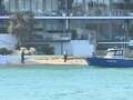 Teen girl mauled to death by shark in front of her friends in horrendous attack