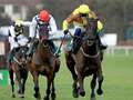Gold Cup favourite Galopin Des Champs "can go four miles" says Willie Mullins