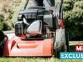 Gardener stalks his ex-partner by turning up uninvited to mow her lawn dqxikeidqkikdinv