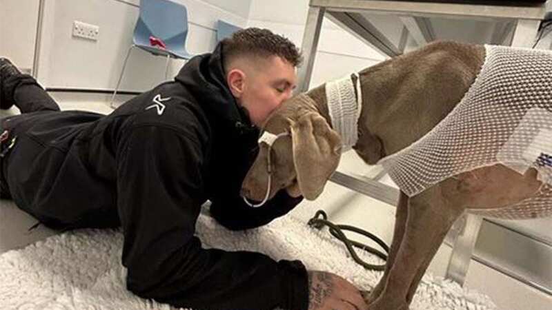 Jaxon Feeley with his dog Rambo (Image: Jaxon Feeley)