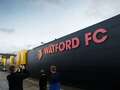Watford leading the way off the pitch on Green Football Weekend by adding bees