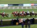 Newsboy's racing tips for Tuesday as he takes on Cheltenham hope Queens Gamble