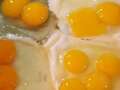 Couple beat odds of 11 billion to one with astonishing Aldi eggs discovery