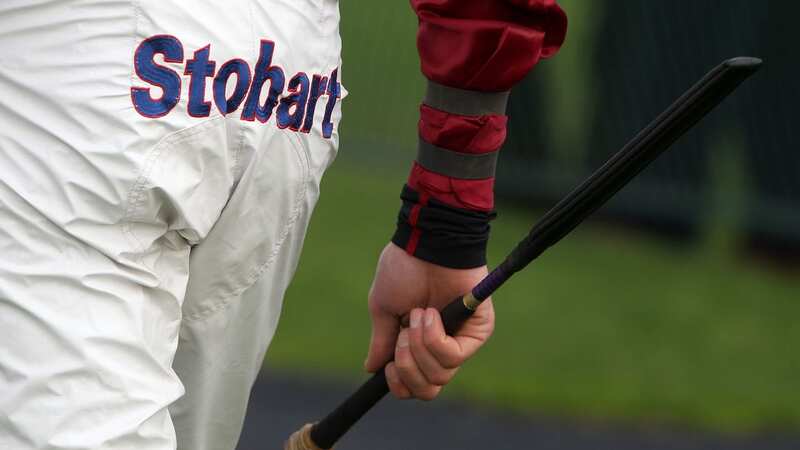 France has become the latest country to clamp down on whip use (Image: PA)