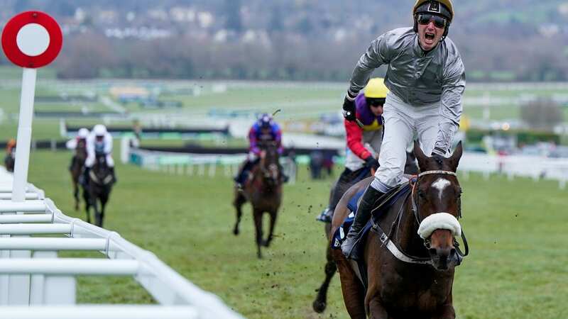 Gold Tweet and jockey Jonhny Charron will return to Cheltenham for the Stayers