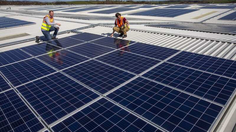 Young adults want a job in a green industry, like environmental consulting (Image: SWNS)