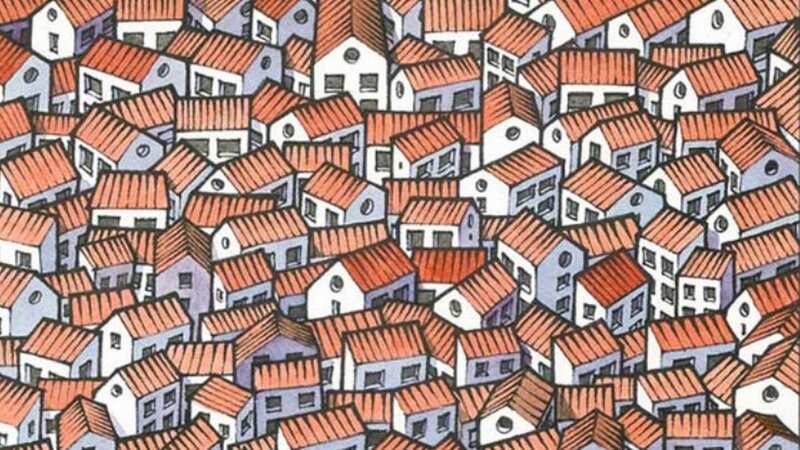 See if you can spot the cat in 10 seconds (stock photo) (Image: Getty Images/EyeEm)