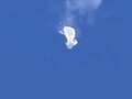 Mystery flying object over Montana as US fighter jets wait to 'get eyes on it' dqxikeidqkikdinv