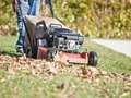 Gardening expert shares exact date when you should cut grass after winter dqxikeidqkikdinv