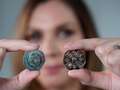 Experts spot hidden image in new King Charles coins that you 'can't un-see' dqxikeidqkikdinv