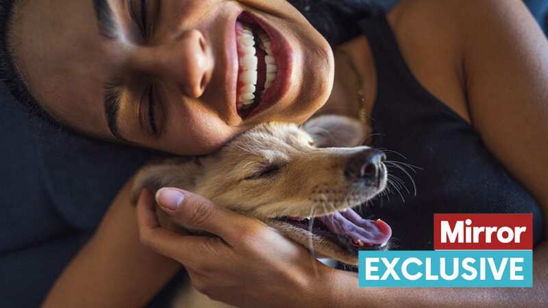 It is possible to spoil your dog and love them 