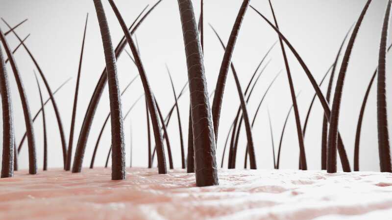 Hairy skin heals faster and scars less than ­non-hairy skin (Image: Getty Images/Science Photo Library RF)
