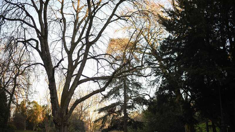 Buttes-Chaumont park (Image: AFP via Getty Images)