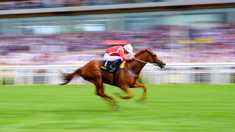 Saffron Beach has been retired after being ruled out of the Saudi Cup (Image: PA)