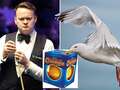 Snooker ace Shaun Murphy says seagull stole Terry's Chocolate Orange from hotel dqxikeidqkikdinv