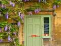 'Aggressive' garden plants to avoid - or risk damage to your home